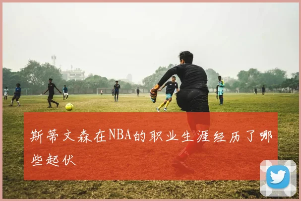 斯蒂文森在NBA的职业生涯经历了哪些起伏