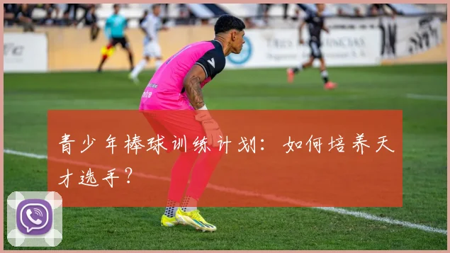 青少年棒球训练计划：如何培养天才选手？