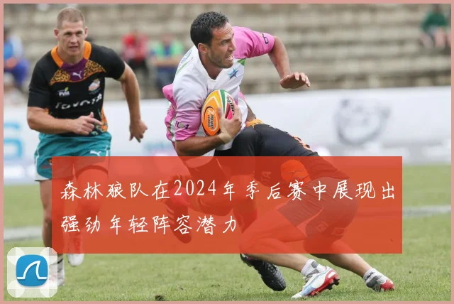 森林狼队在2024年季后赛中展现出强劲年轻阵容潜力